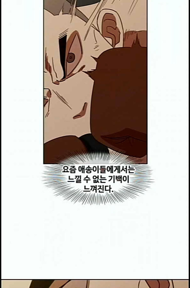 The Boxer Ch.35 p70