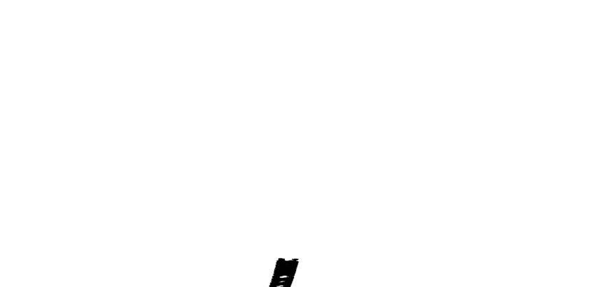The Hunter Ch.114 p150
