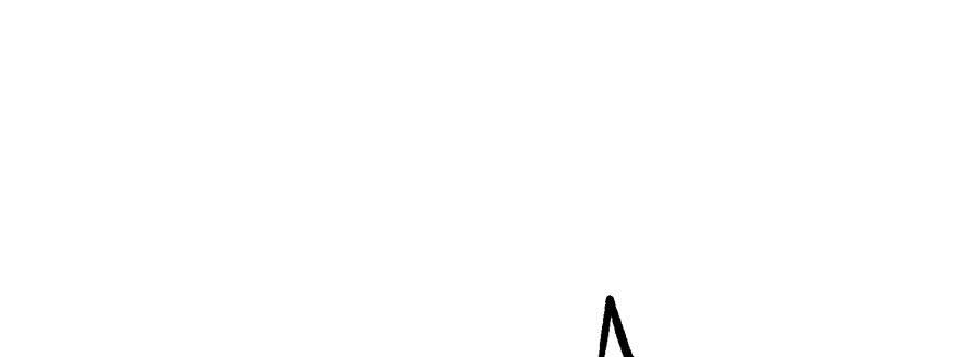 The Hunter Ch.127 p16