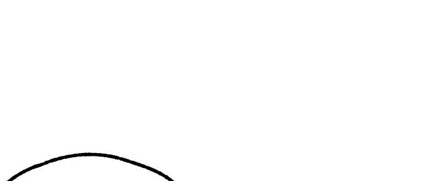 The Hunter Ch.146 p20