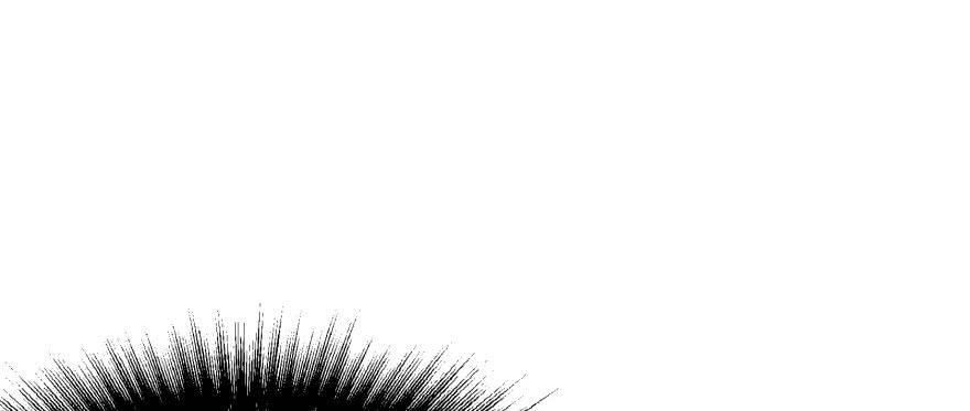 The Hunter Ch.148 p55