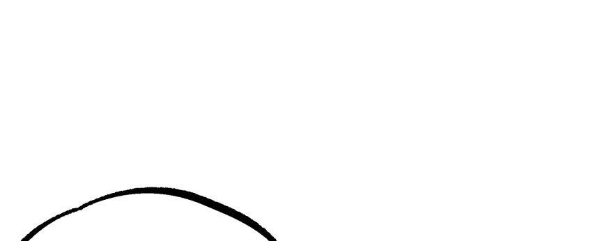 The Hunter Ch.159 p184