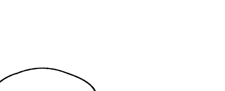 The Hunter Ch.161 p147