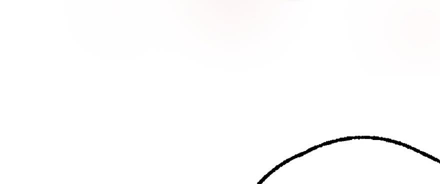 The Hunter Ch.162 p28