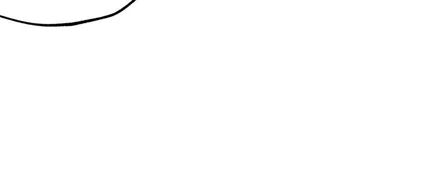 The Hunter Ch.169 p63