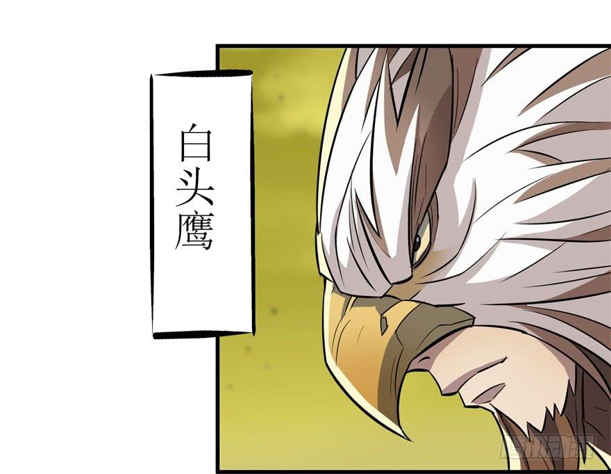 The Hunter Ch.82 p37