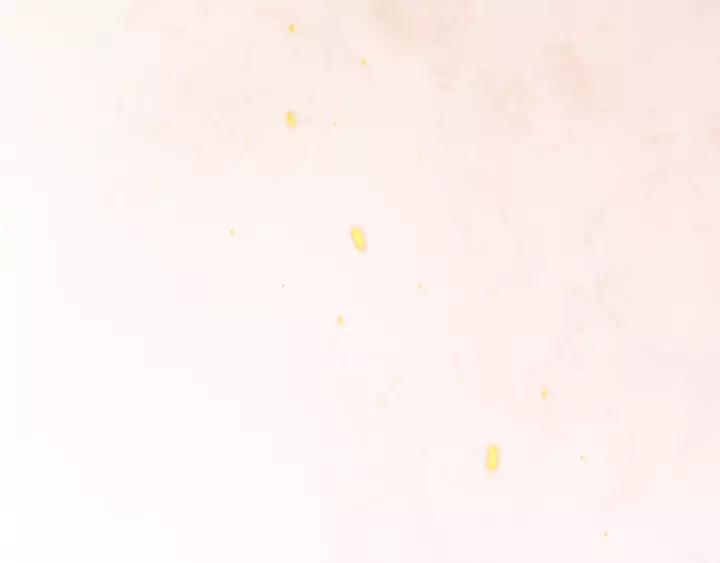 Ultimate Soldier Ch.75 p93