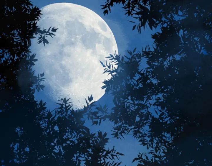 Abnormal Hunting Ch.4 p220