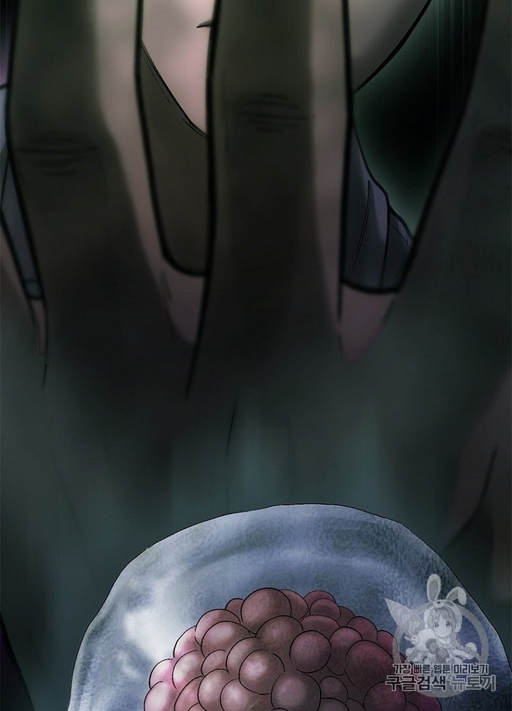 Cell Ch.26 p63