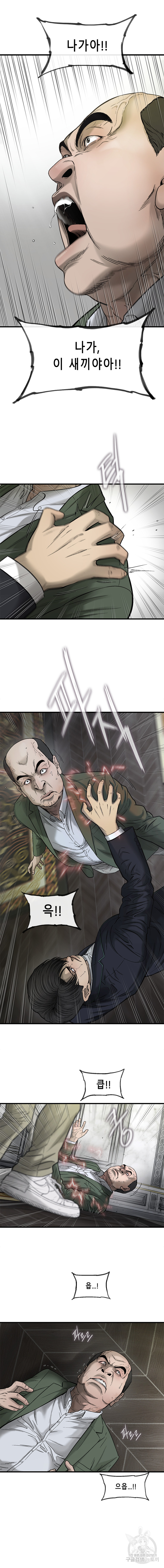Cell Ch.37 p14