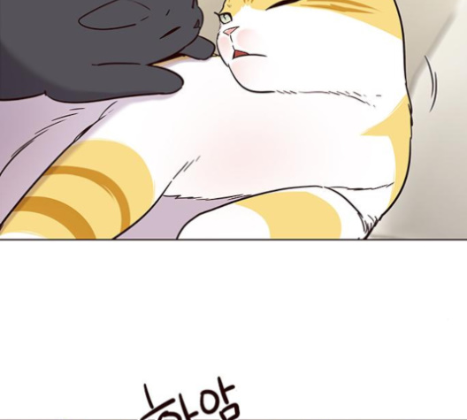 Eleceed (EN) Ch.101 p6