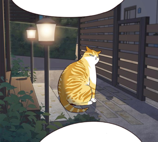Eleceed (EN) Ch.102 p158
