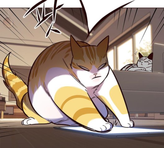 Eleceed (EN) Ch.106 p120