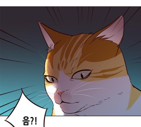 Eleceed (EN) Ch.110 p107