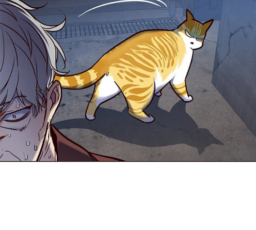 Eleceed (EN) Ch.112 p178