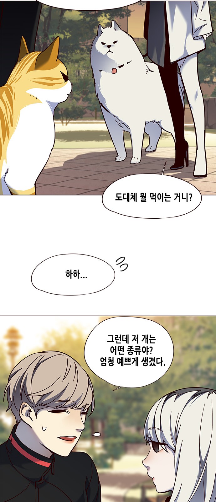 Eleceed (EN) Ch.80 p41