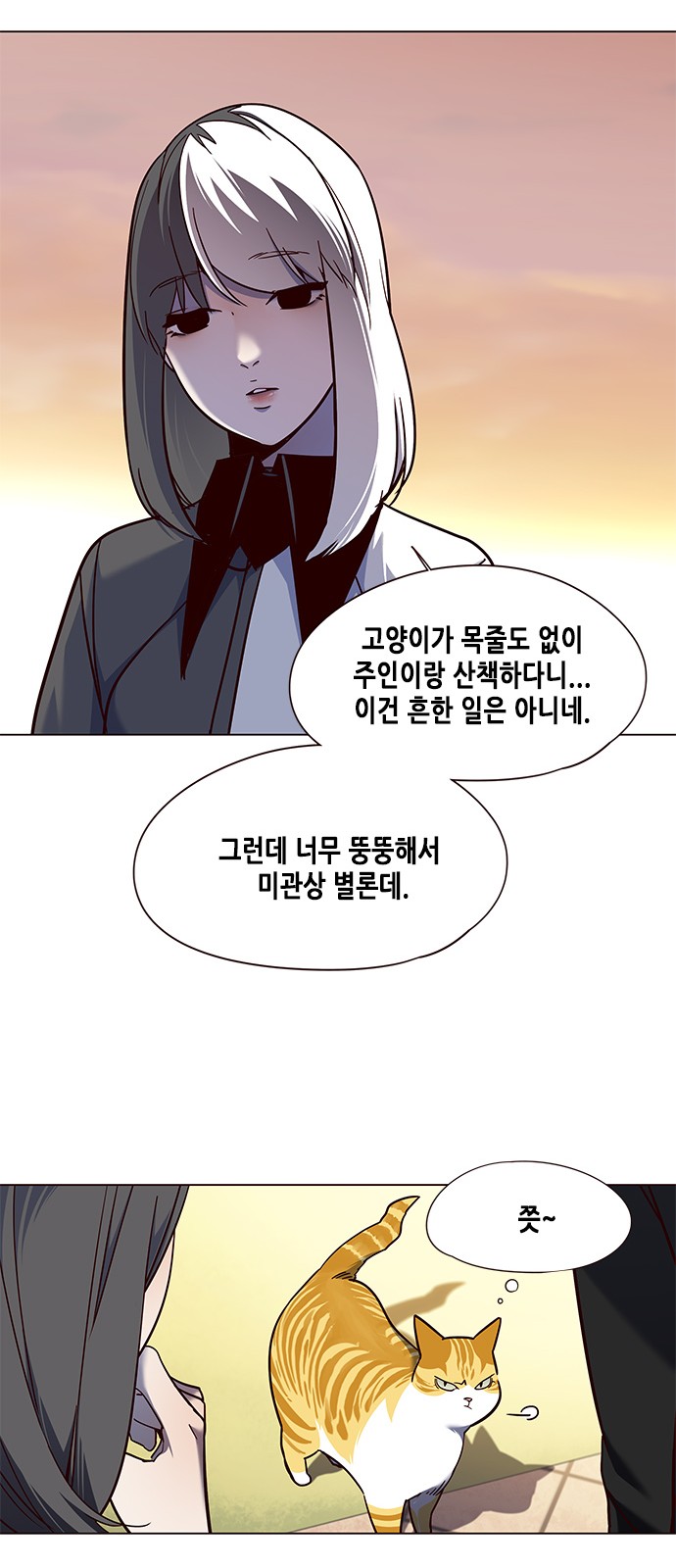 Eleceed (EN) Ch.80 p43