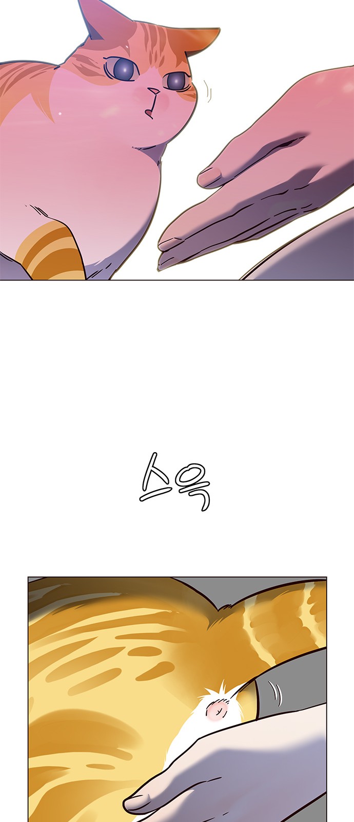 Eleceed (EN) Ch.80 p57