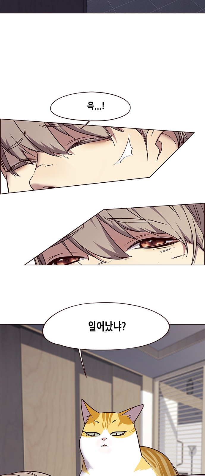 Eleceed (EN) Ch.88 p10