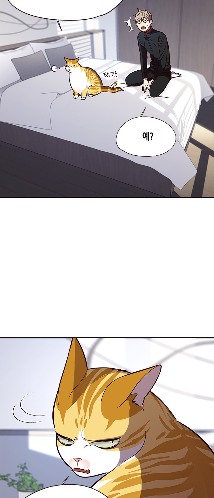 Eleceed (EN) Ch.90 p3