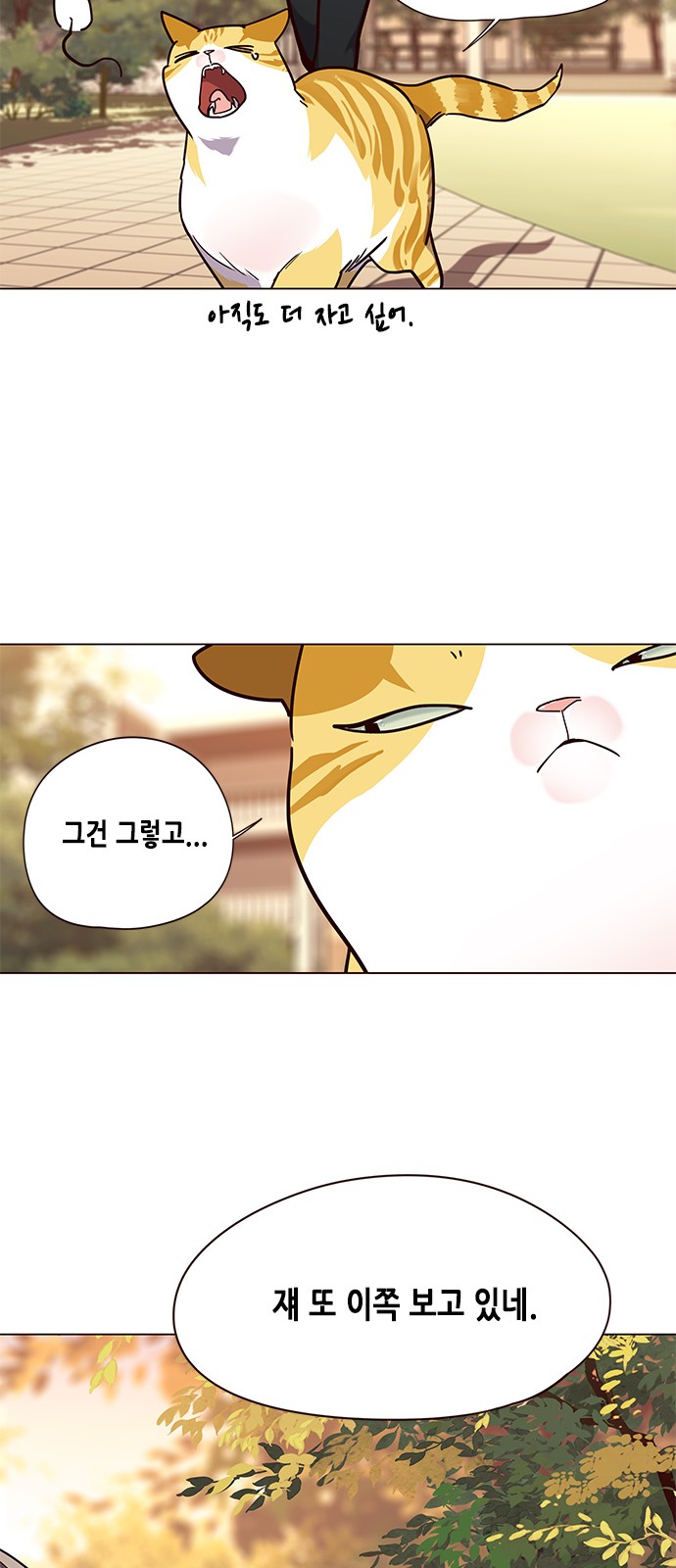 Eleceed (EN) Ch.90 p39