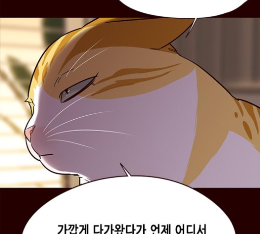 Eleceed (EN) Ch.96 p29