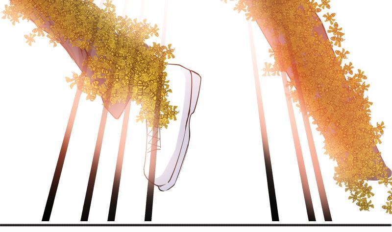 I Have a Dragon in My Body Ch.38 p32