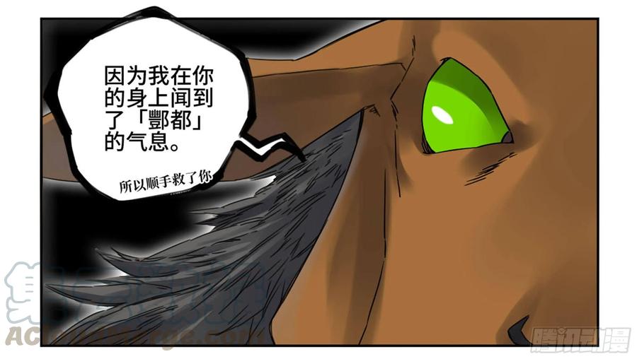 Martial Legacy Ch.210 p53