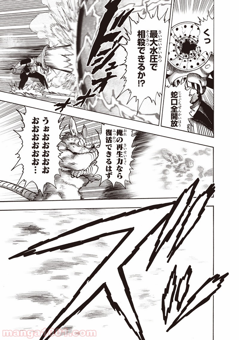 One-Punch Man Ch.148 p29