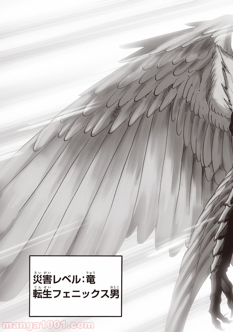 One-Punch Man Ch.155 p17