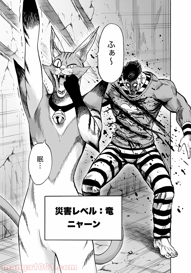 One-Punch Man Ch.163 p27