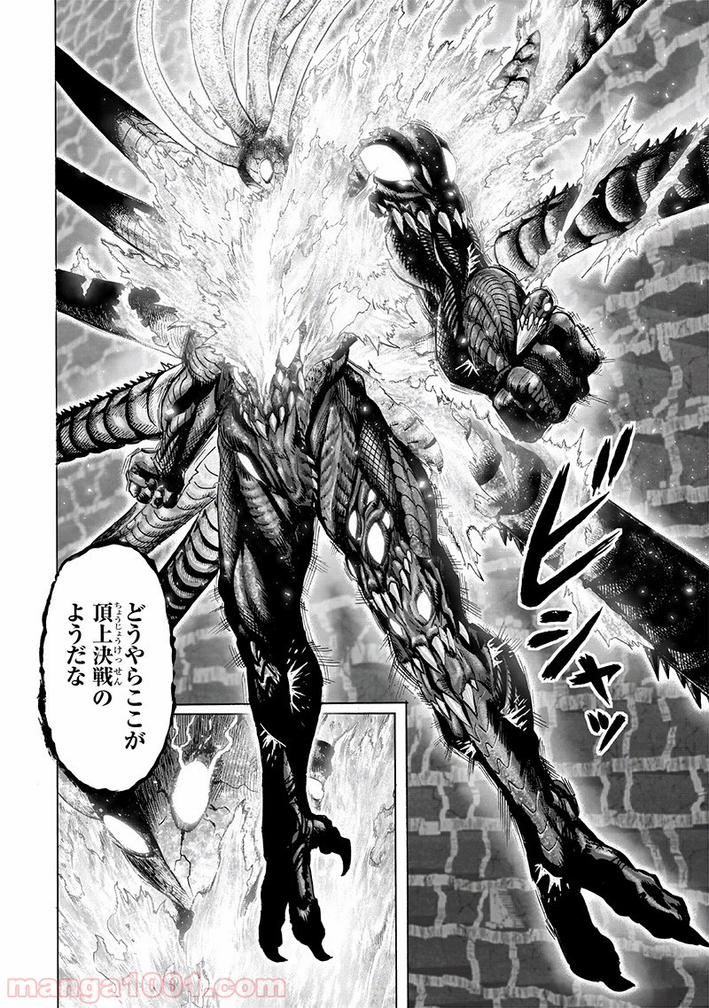 One-Punch Man Ch.166 p14