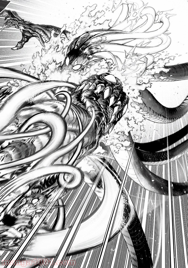 One-Punch Man Ch.166 p18