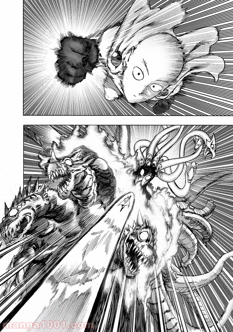 One-Punch Man Ch.166 p30