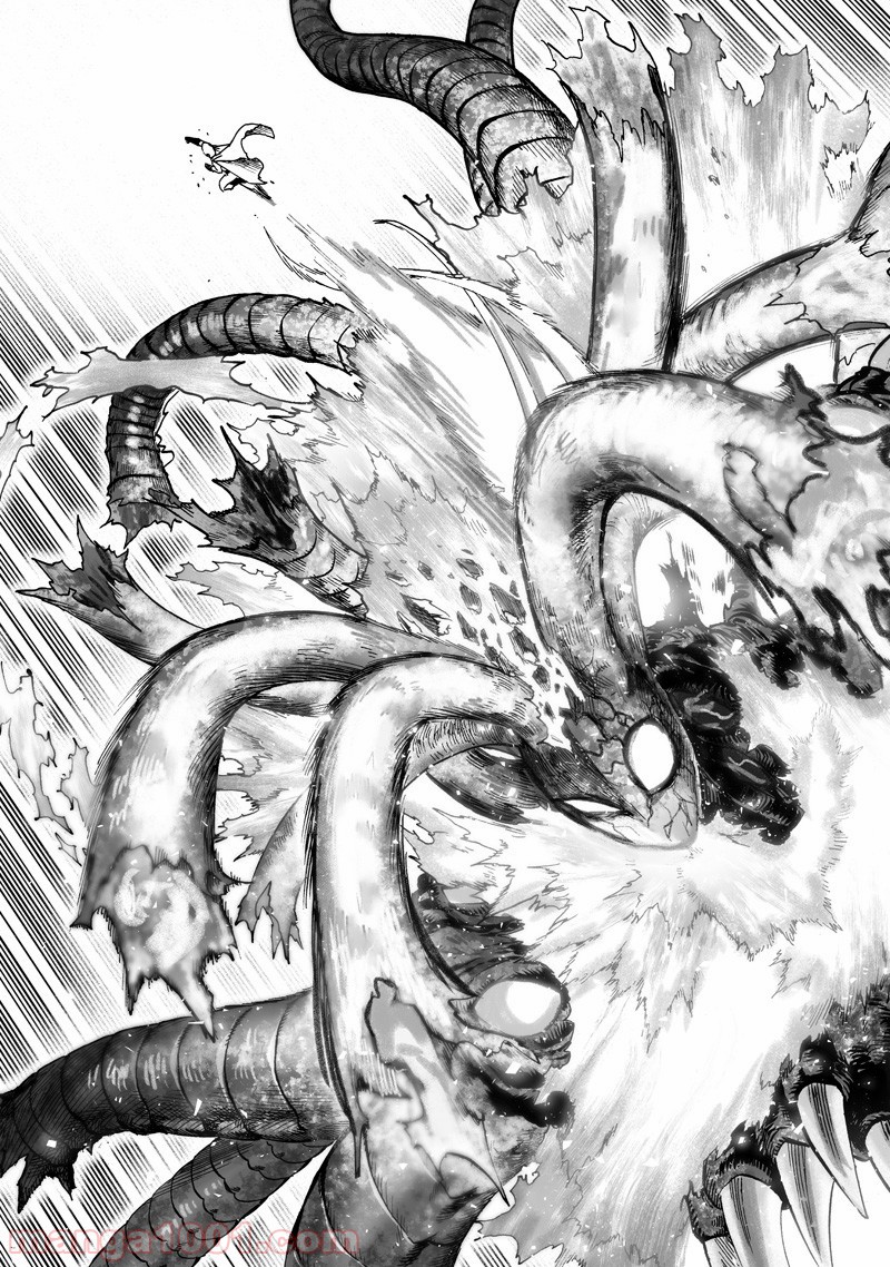 One-Punch Man Ch.166 p35