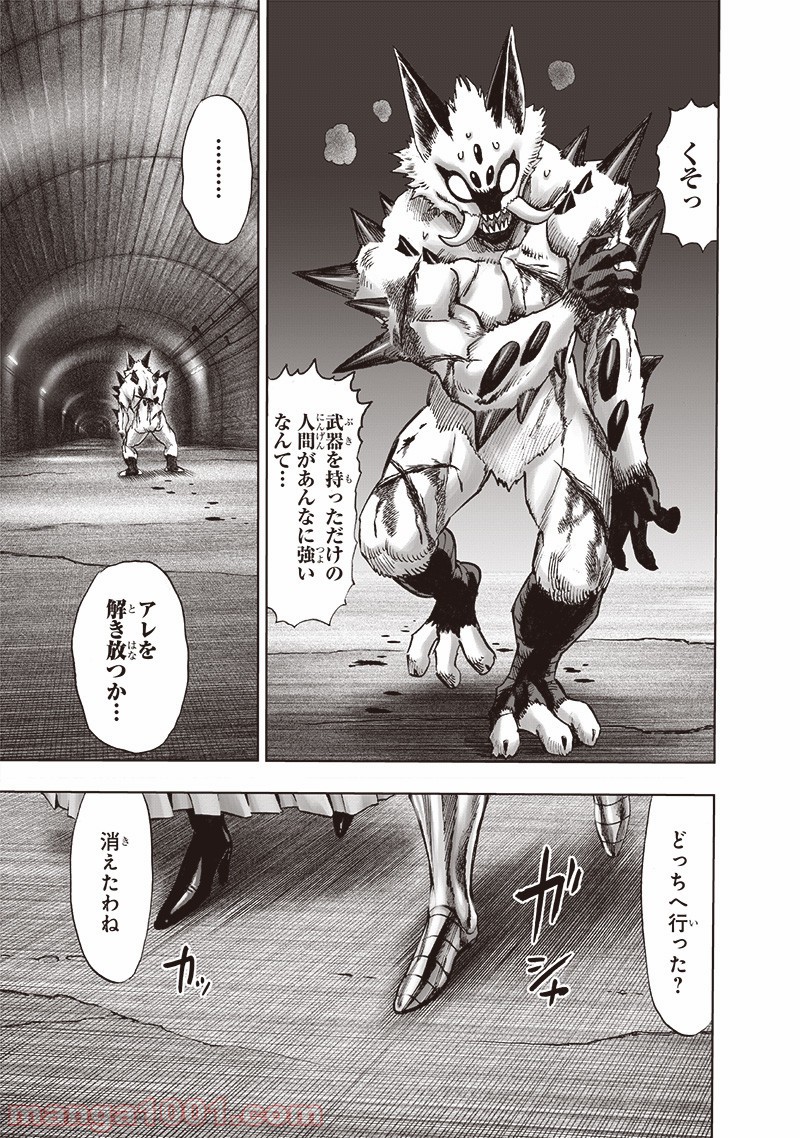 One-Punch Man Ch.172 p13