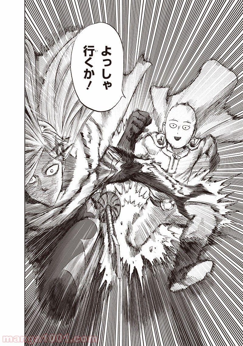 One-Punch Man Ch.173 p28