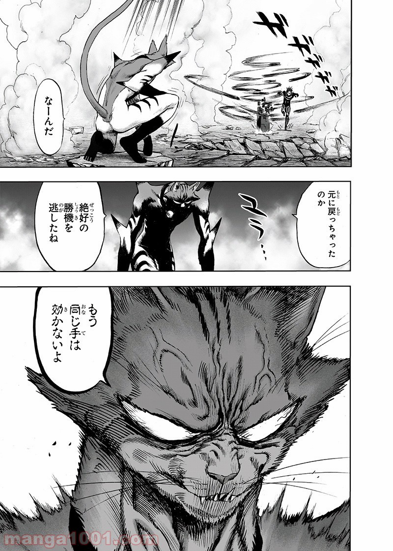 One-Punch Man Ch.176 p28