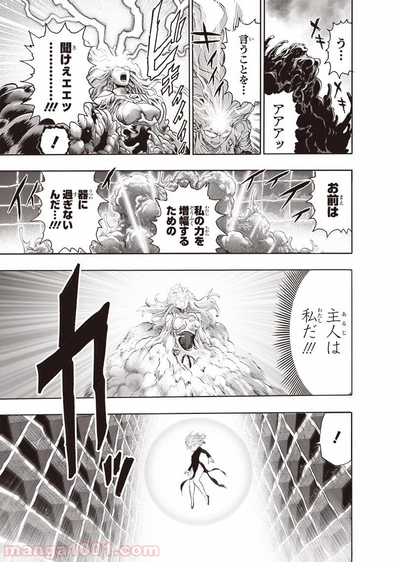 One-Punch Man Ch.187 p16
