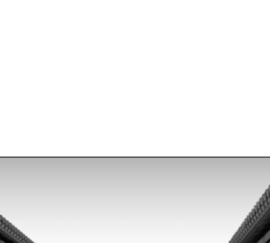 Parrot Blade Ch.26 p47