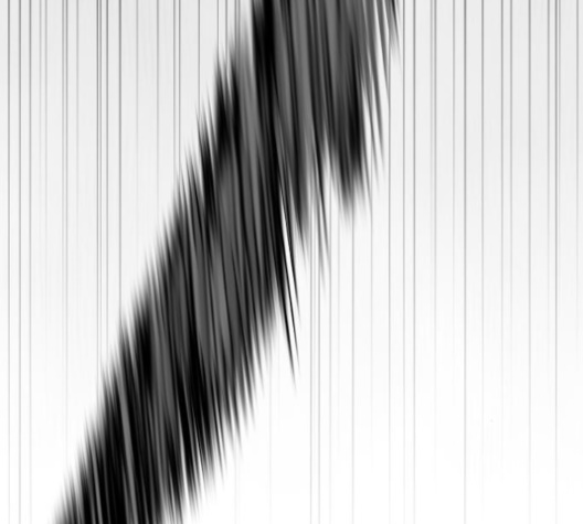 Parrot Blade Ch.27 p7
