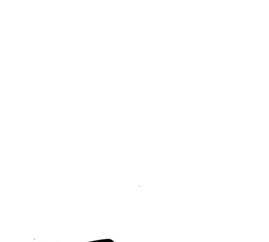 Player Ch.29 p53