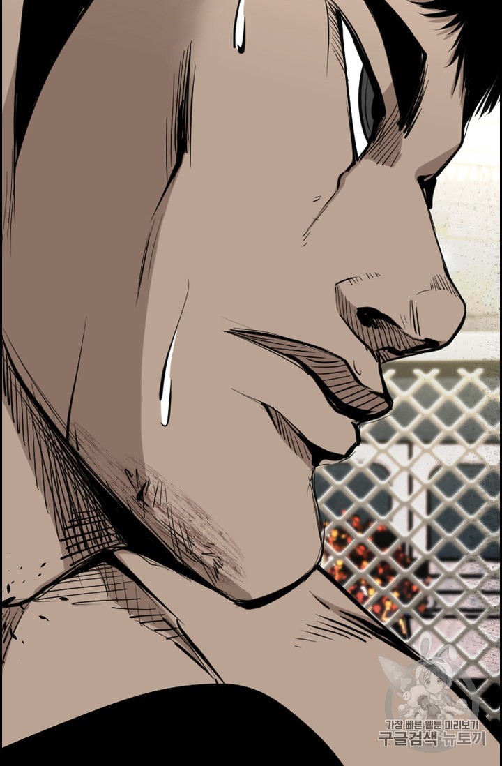 Shark Ch.172 p5