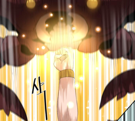The Strongest Florist Ch.26 p97