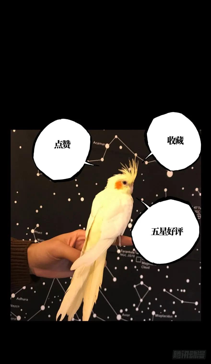 Taoist (DaXiangWuXing) Ch.39 p51