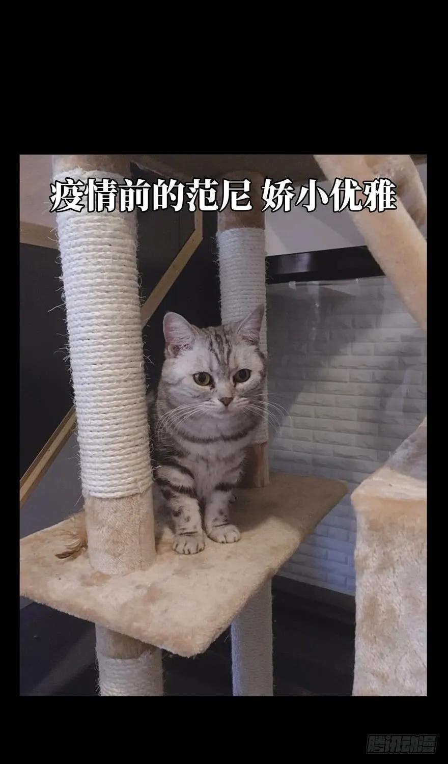 Taoist (DaXiangWuXing) Ch.46 p44