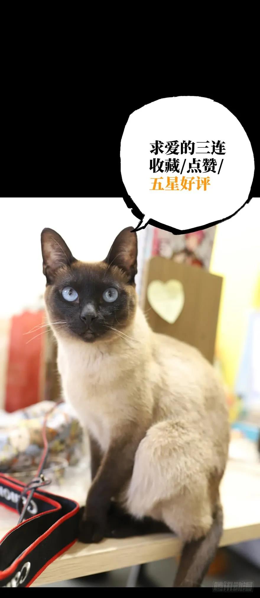 Taoist (DaXiangWuXing) Ch.49 p43