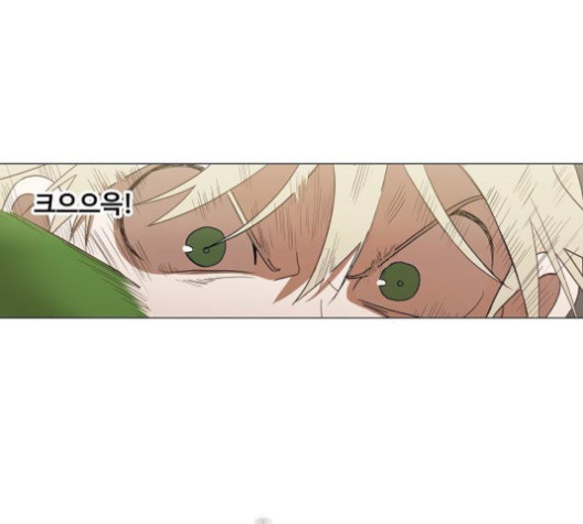 The Boxer Ch.36 p116