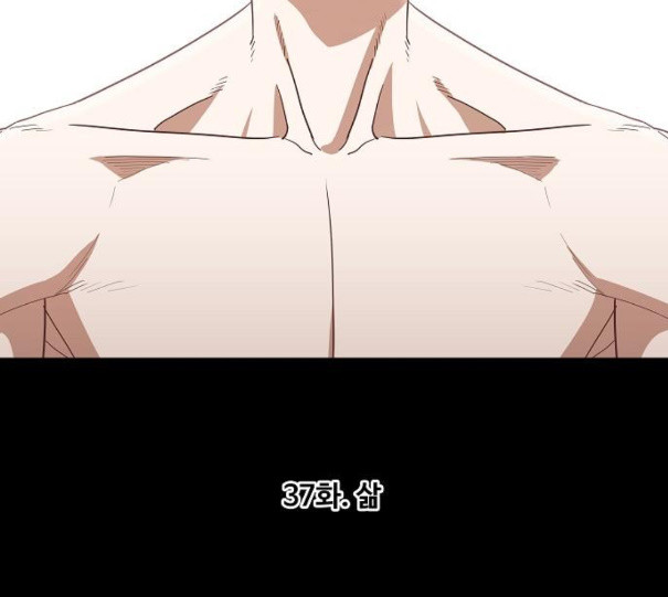 The Boxer Ch.37 p11