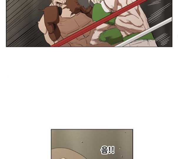 The Boxer Ch.37 p48